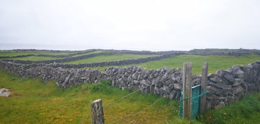 Cliifs of Moher day trip