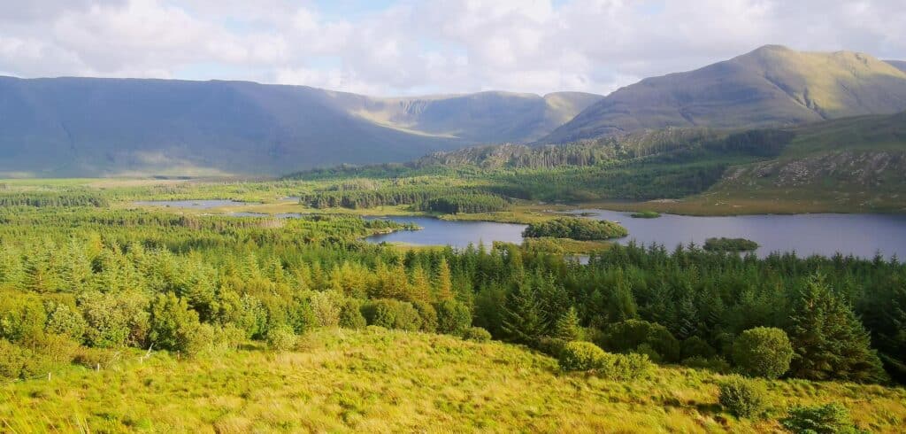 Tawnyard Lough