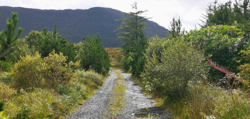 Tawnyard trail