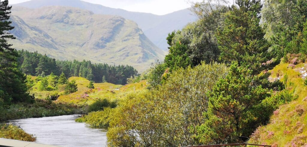 Tawnyard Lough